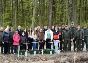 Юні лісівники долучилися до висадки дерев